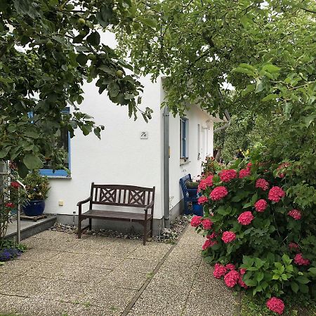 Ferienwohnung Mit Garten Wieck auf dem Darss Dış mekan fotoğraf